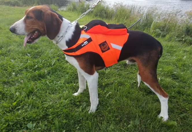 Hovedbilde KARDOG RAIPE GPS VEST
