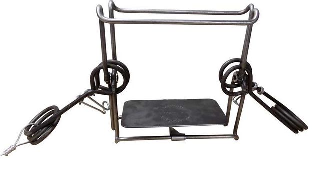 Hovedbilde TRAMPEPLATE 120 EXPAND A ...