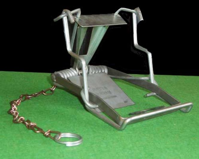 Hovedbilde RØYSKATT OG ROTTEFELLE ...