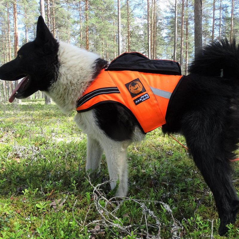 KARDOG JEHU GPS FLYTEVEST