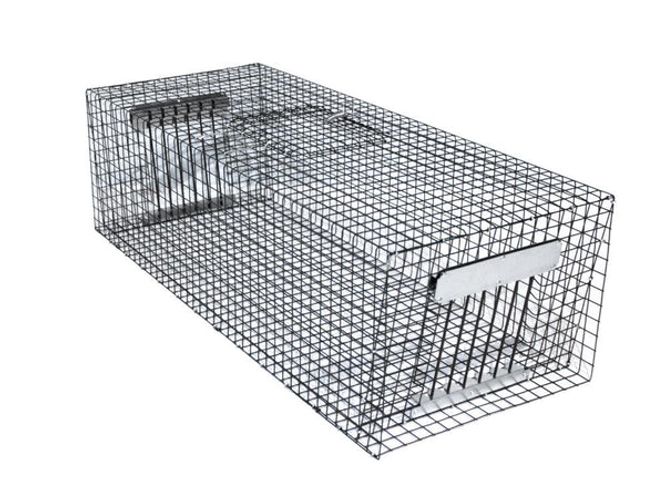 Hovedbilde DUEFELLE / FUGLEFELLE