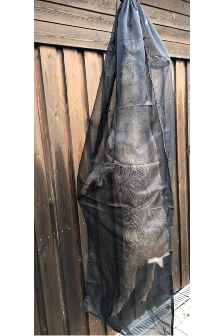 Hovedbilde Viltnett rådyr 