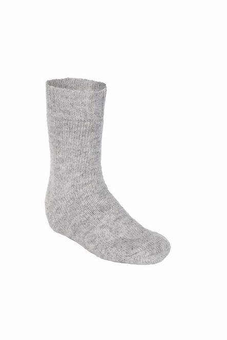 Hovedbilde Svalbard ragsokk grå